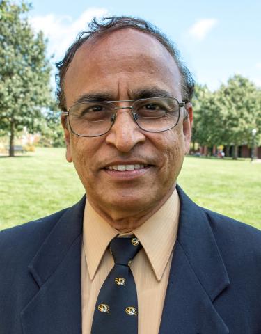 Image: Srinath Gopalakrishna