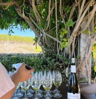 Image: someone pouring wine into glasses